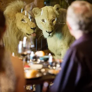 Lodge Jamala Wildlife 